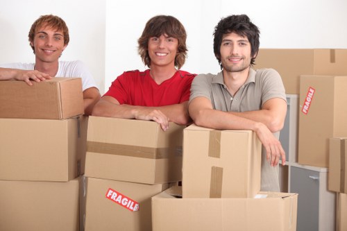 Inclusive Richmond Storage website access image